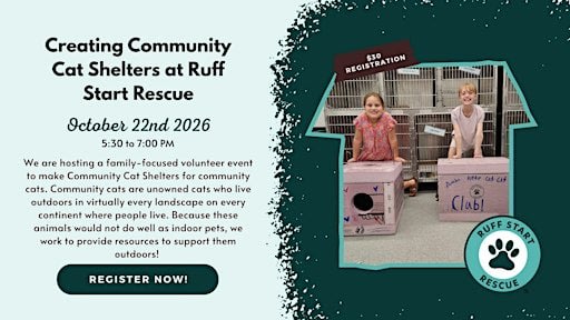 Creating Community Cat Shelters at Ruff Start Rescue