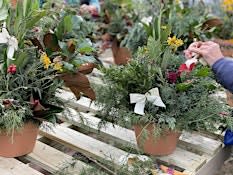 Holiday Centerpiece Workshop