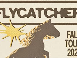 Flycatcher & special guests