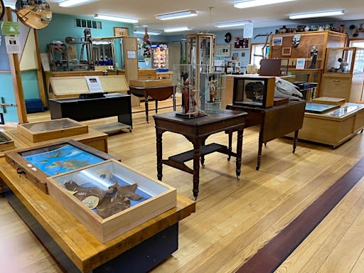 FREE Second Saturday @ Raven Hill Discovery Center