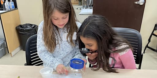 Habitat Heroes  | Grades 2-3