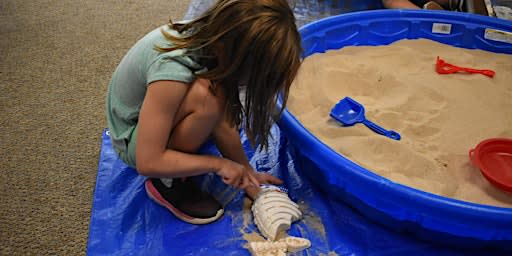 Can You Dig It?  | Grades 2-3