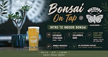 Bonsai on Tap at Nocterra Brewing Audobon - Sip, Learn, and Make a Bonsai