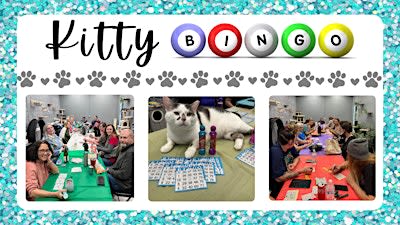 Kitty Bingo