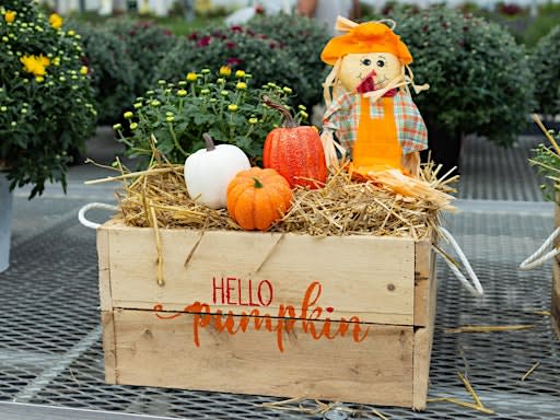 Autumn Inspirations – Create Your Own Crate or Bushel Buddy