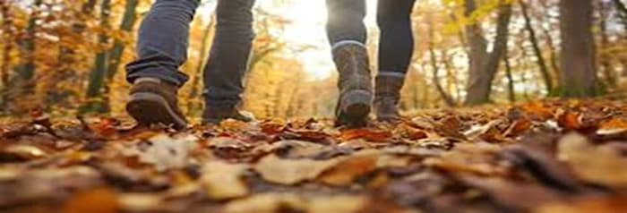 1st Annual Mindfulness Wonder Walk