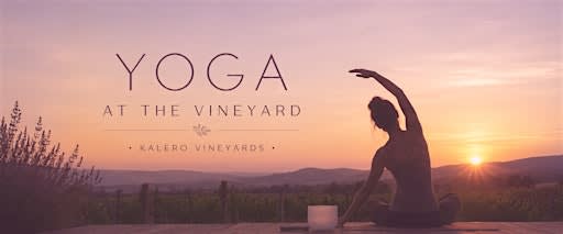 Sunset Yoga at the Vineyard
