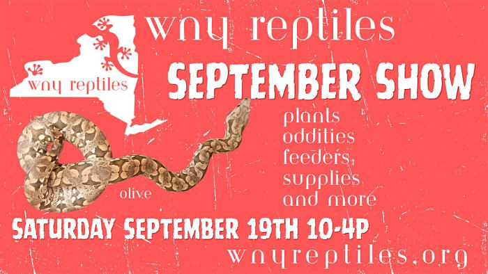 WNY Reptiles September Show 2026