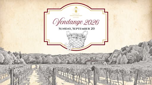 Vendange 2026: Traditional French Grape Picking & Winemaking Experience