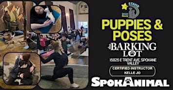 October Puppies & Poses