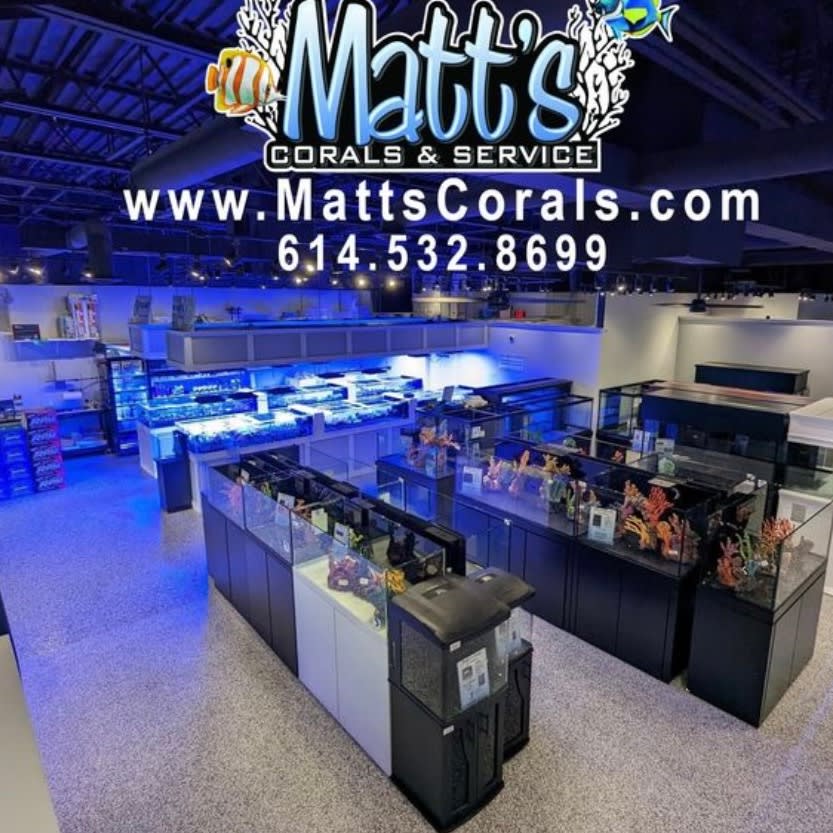 Matt's Corals & Service