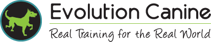 Evolution Canine