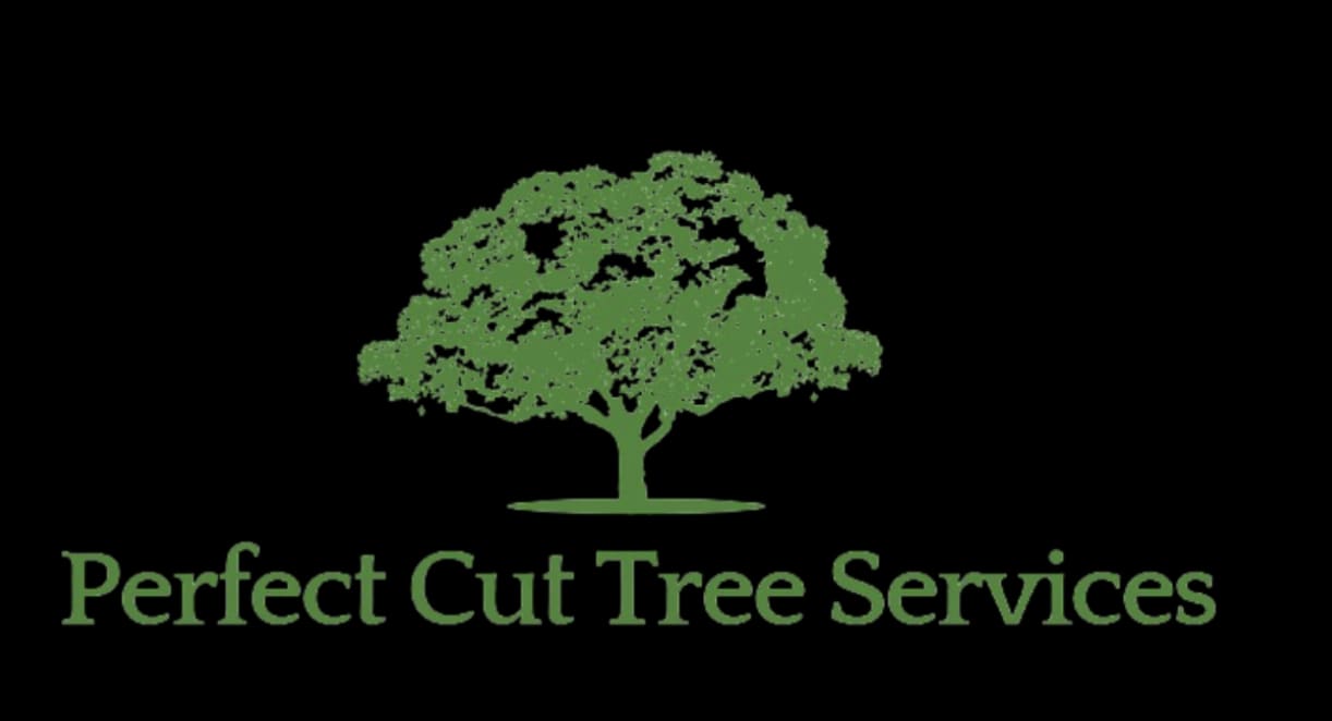 Perfect Cut Tree Services