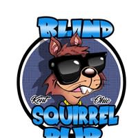 Blind Squirrel Pub - Kent, OH