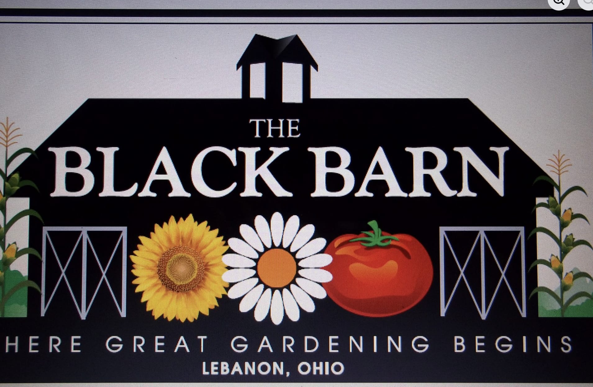 The Black Barn