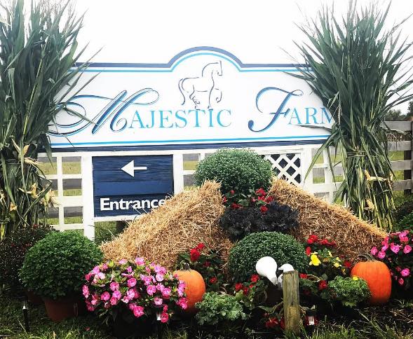 Majestic Farm
