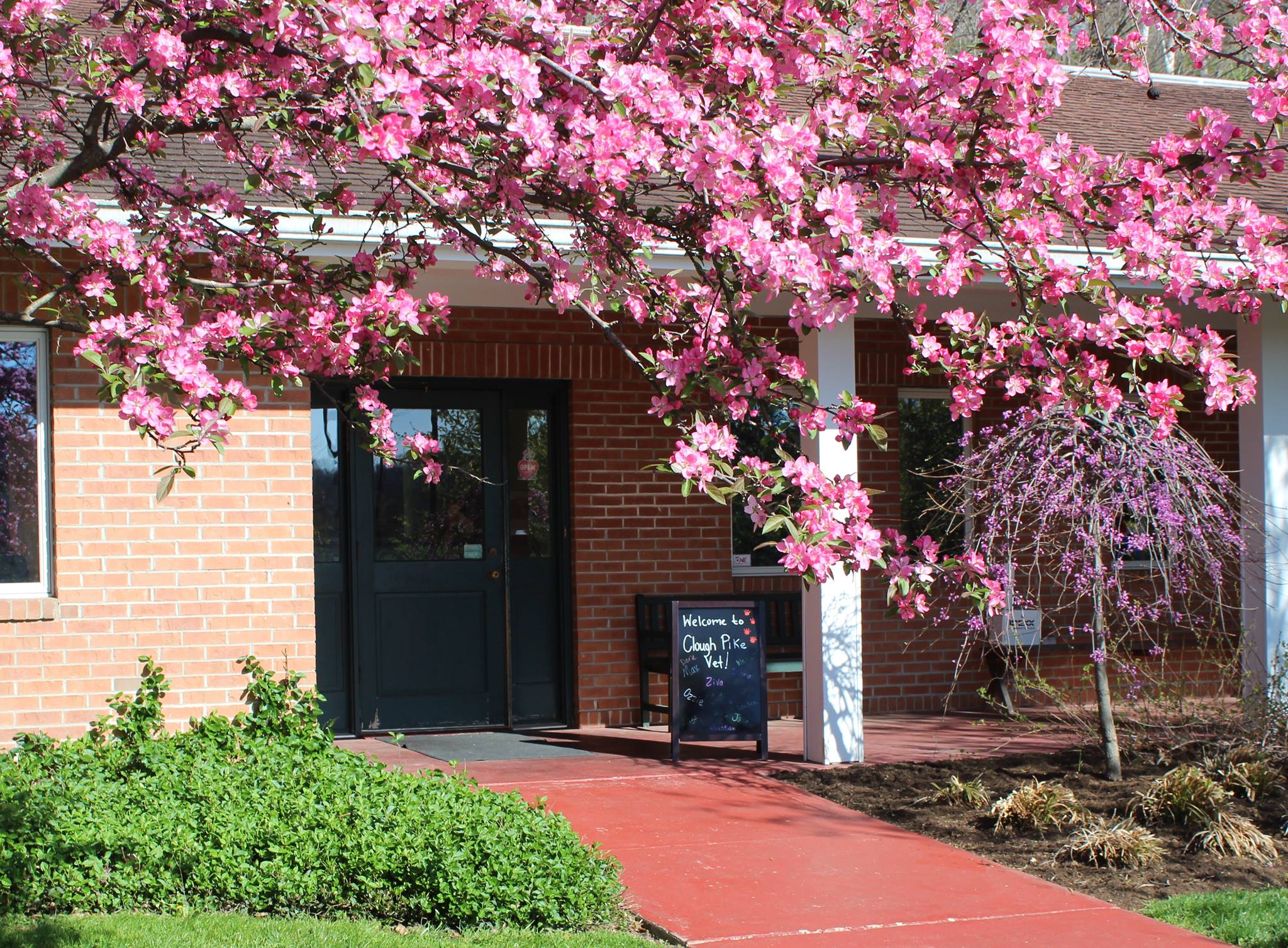 Clough Pike Veterinary Clinic