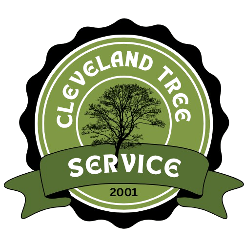 Lorain Tree Care