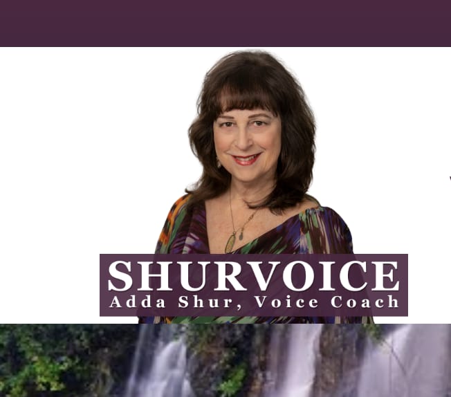 ShurVoice