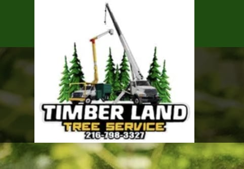 Timberland Tree Services