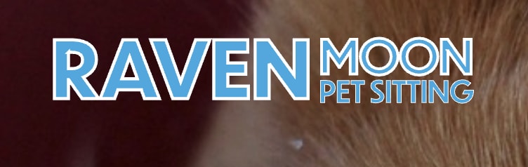 Raven Moon Pet Sitting