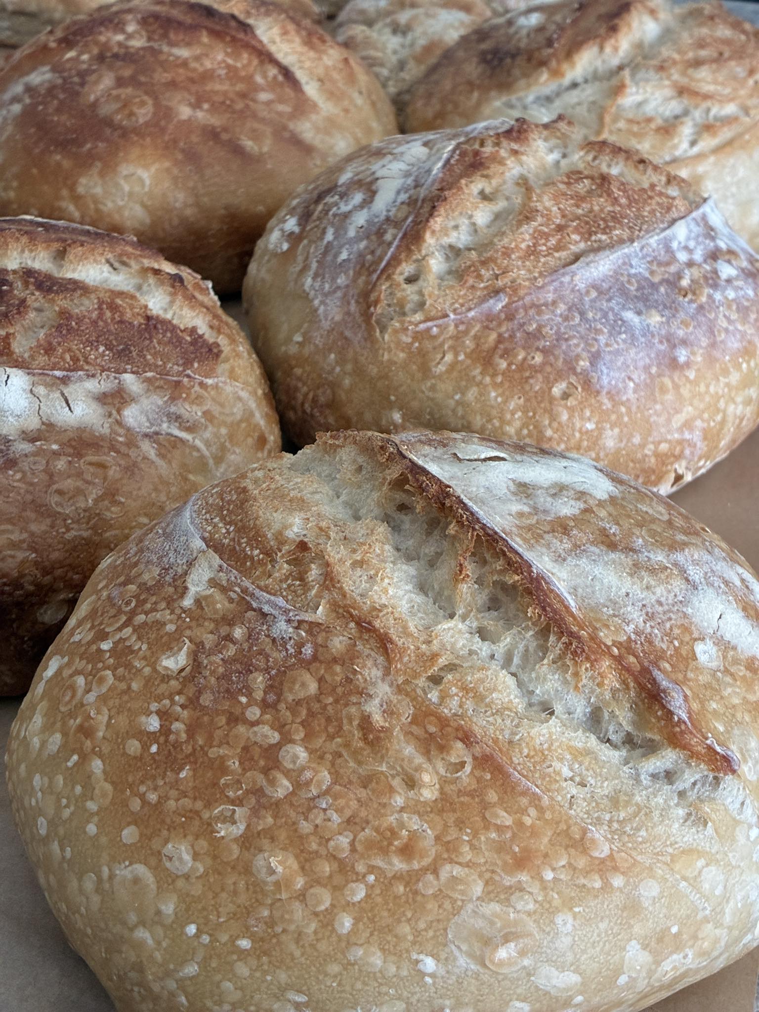 Simple Sourdough Breads 