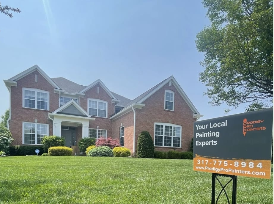 Prodigy Pro Painters