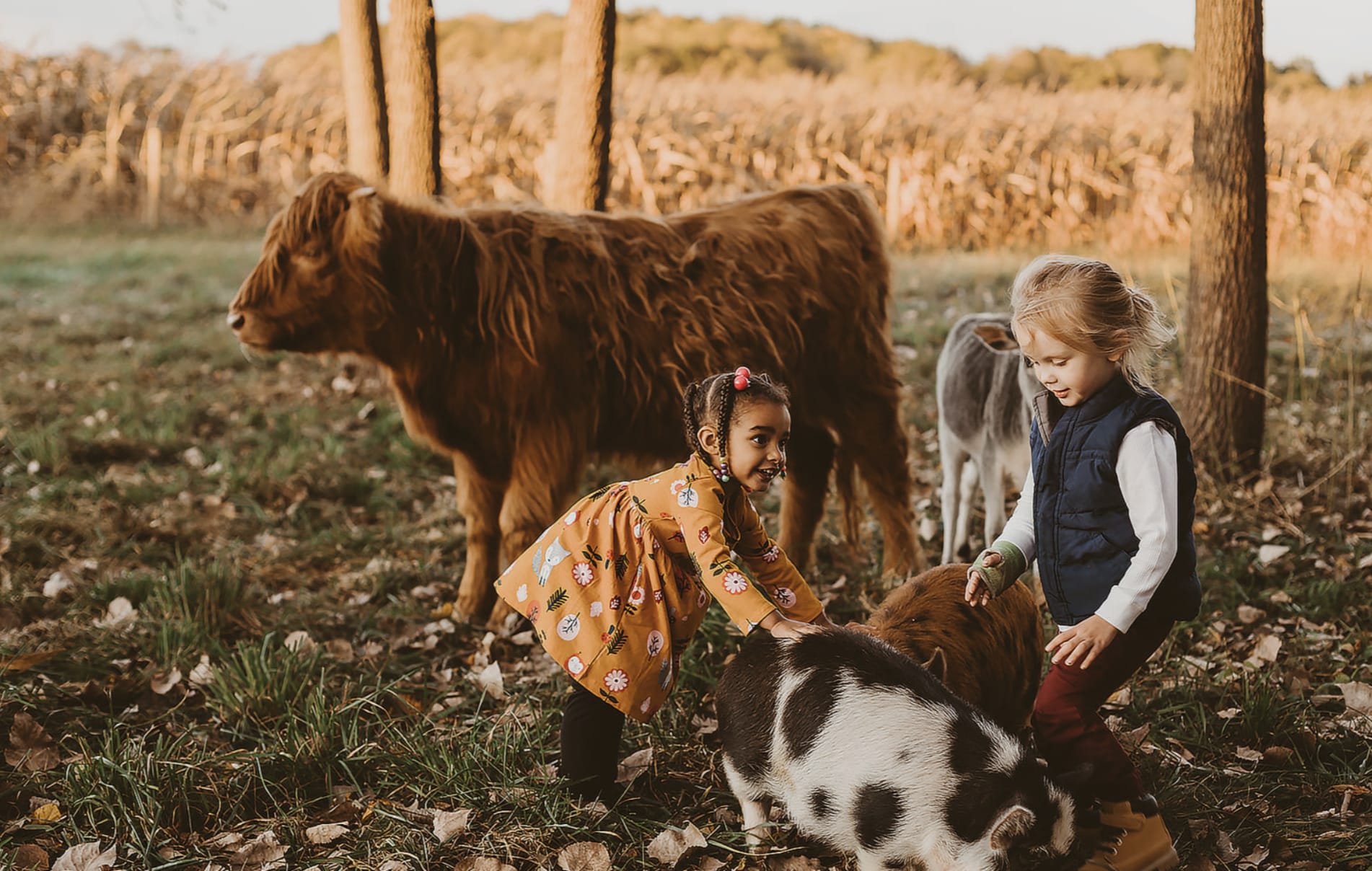 Lacy Clagg Photography