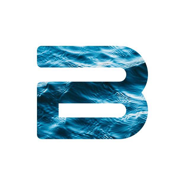 BridgeLingua Pro LLC