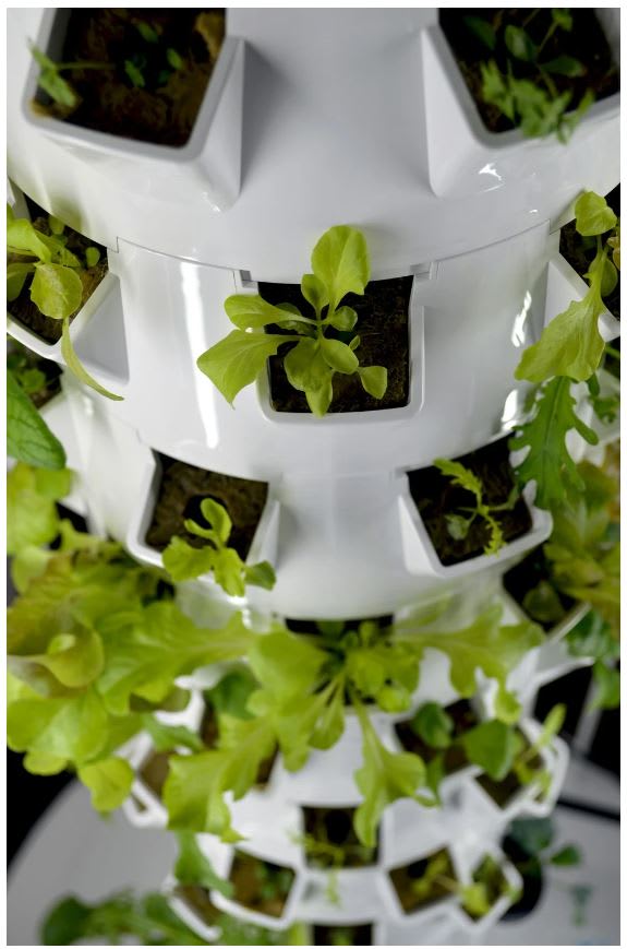 Introduction to Hydroponics