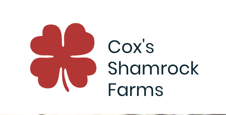 Cox’s Shamrock Farms