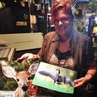 Lorna Rogers Photography