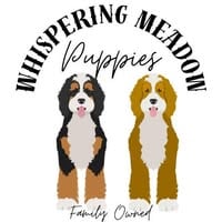 Whispering Meadow Puppies