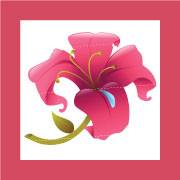 A Lily's Dew Drop Flower Shop