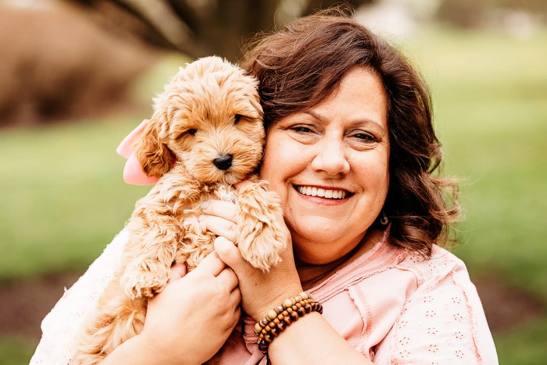 Colonial Village Labradoodles