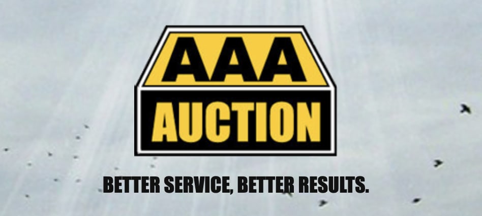 AAA Auction Service, Inc.