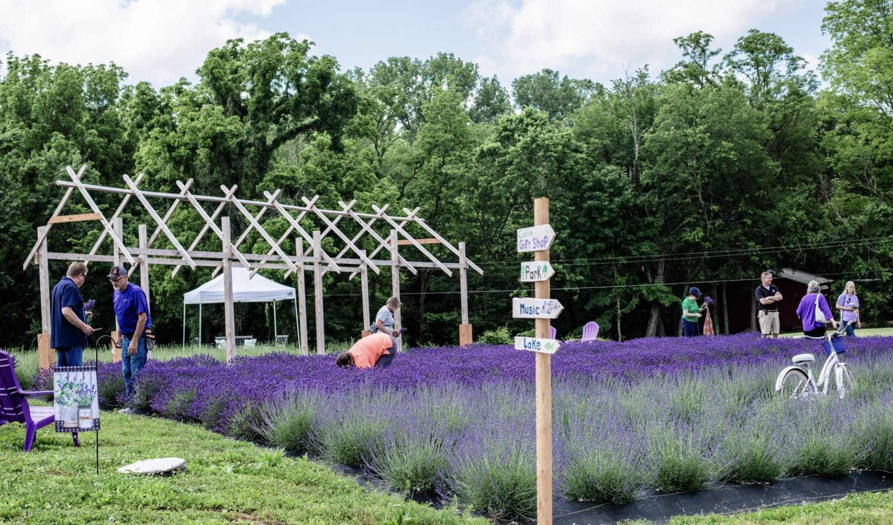 Harmony Lavender Farm LLC