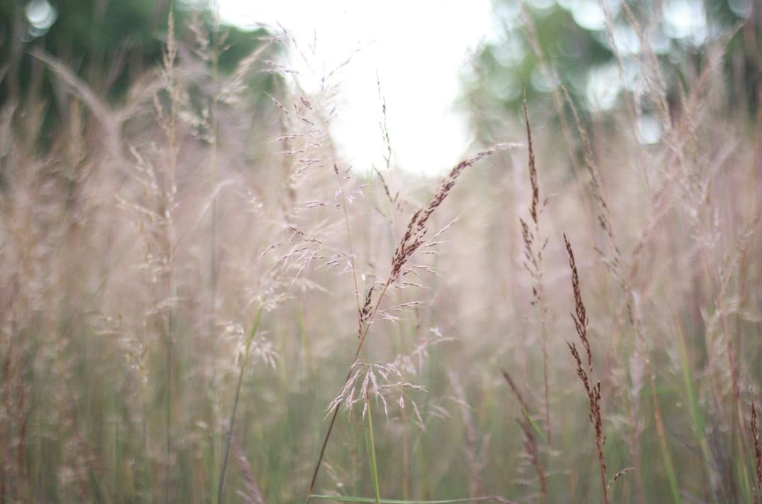 Southwest Conservation Club