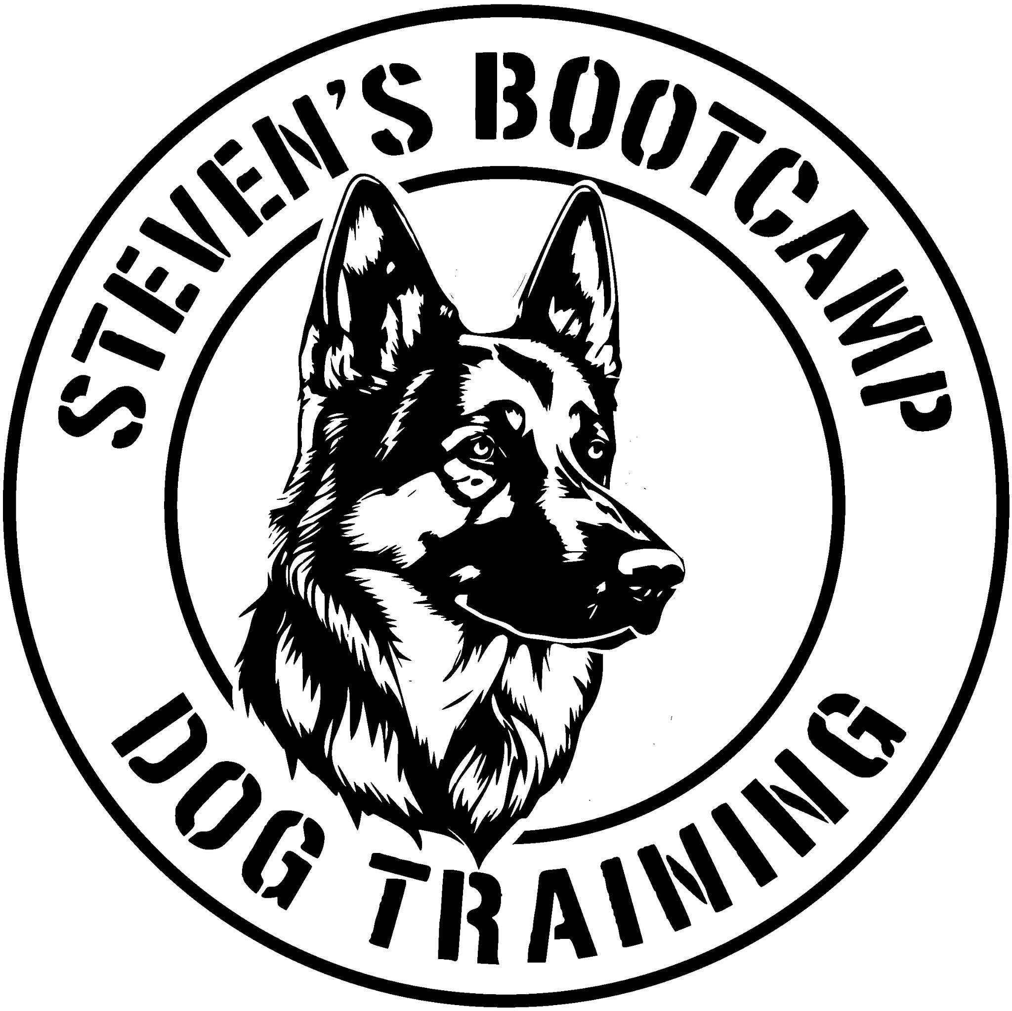 Steven's Bootcamp Dog Training 
