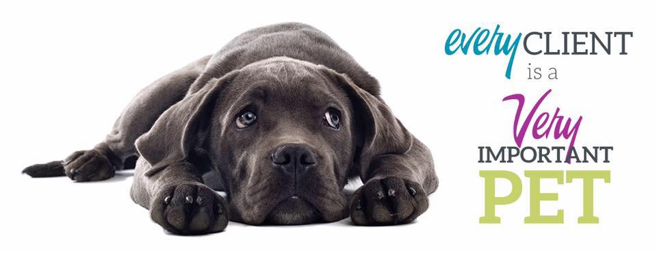 Bella's Kennels & Cuts