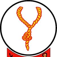 Y-Not Pizza & Lounge