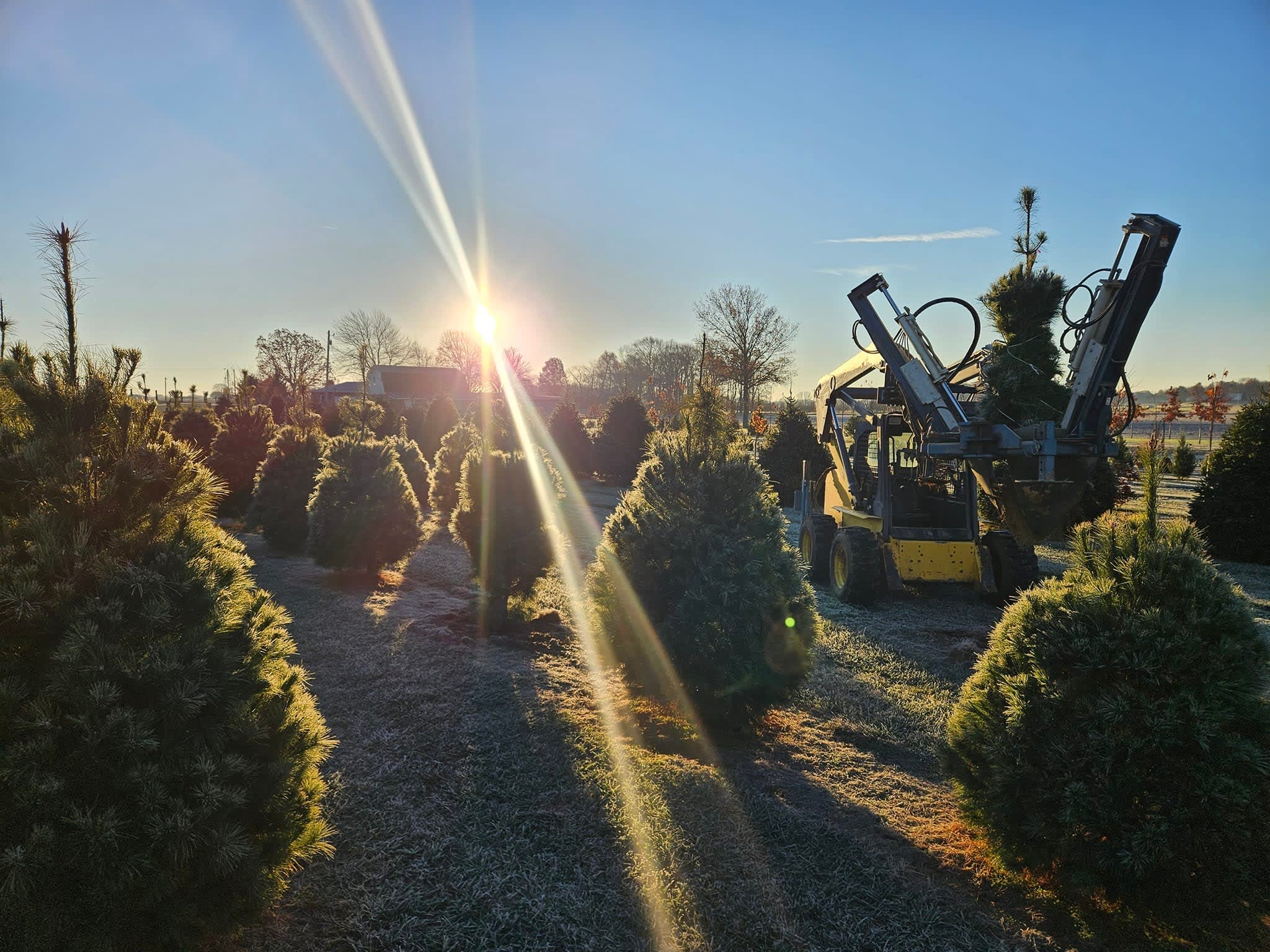 Hoffherr Landscaping