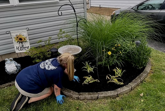 Hoots Pro Services, LLC