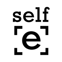 Self.e Alley (Evansville Mural Art)