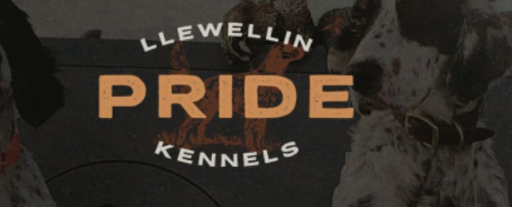 Pride Llewellin Kennels