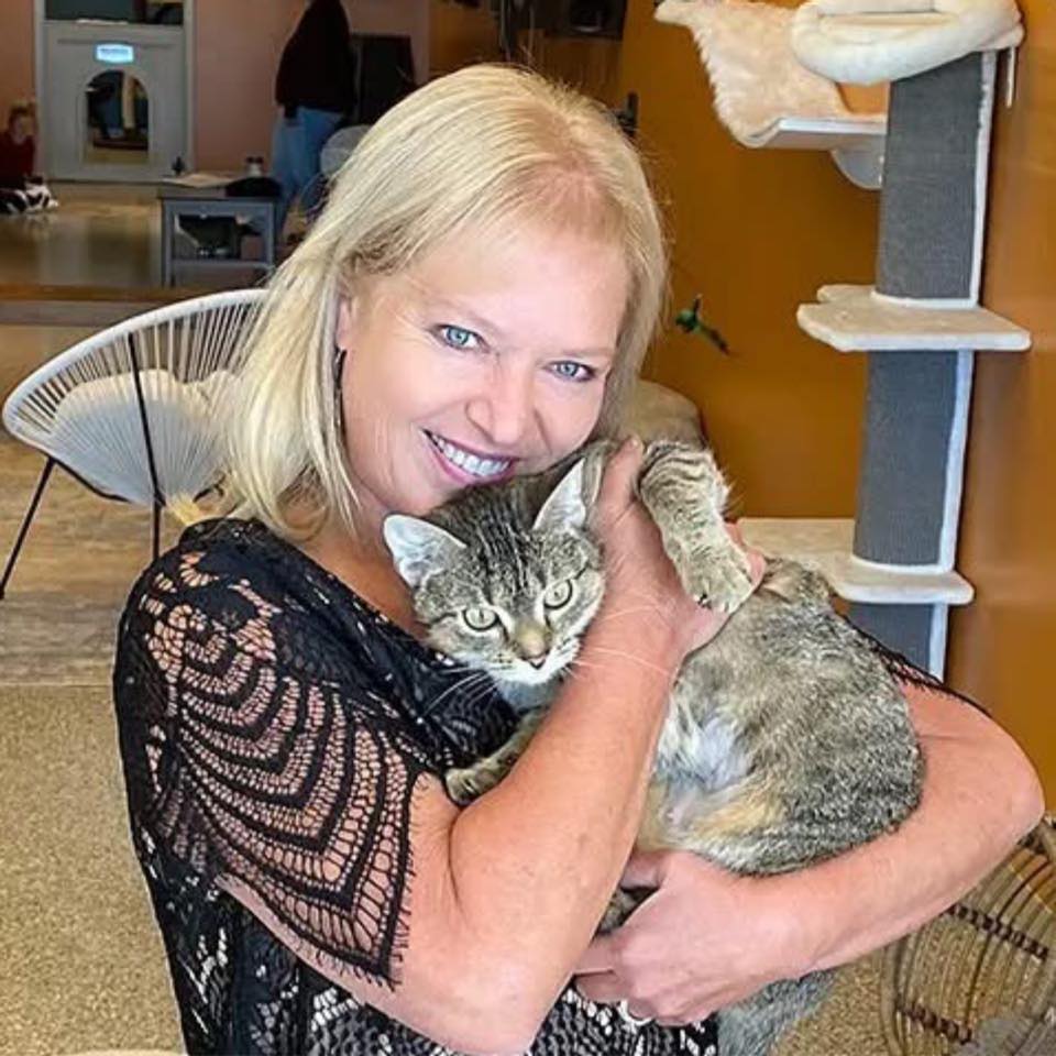 Smitten Kitten Cat Cafe and Coffee Shop