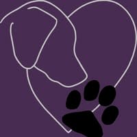 Paws to Heart Dog Grooming