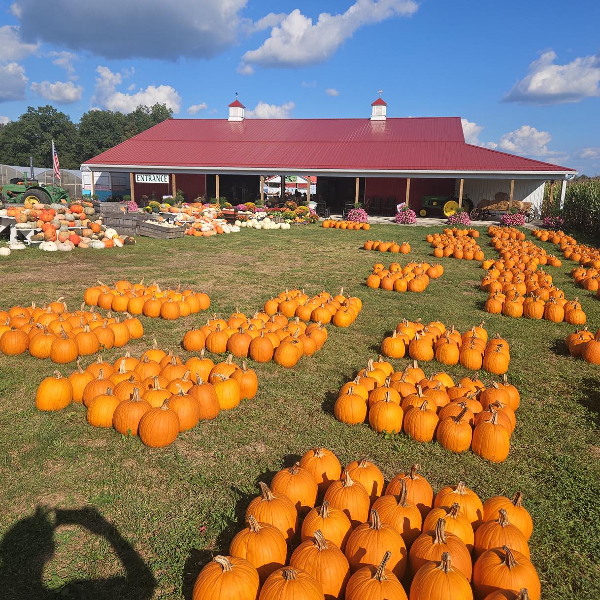 McDonald's Greenhouse & Corn Maze