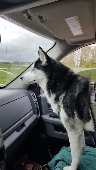 Almost Home Boarding Kennel