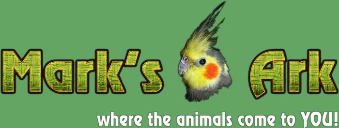 Mark’s Ark Animal Showcase